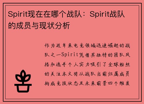 Spirit现在在哪个战队：Spirit战队的成员与现状分析